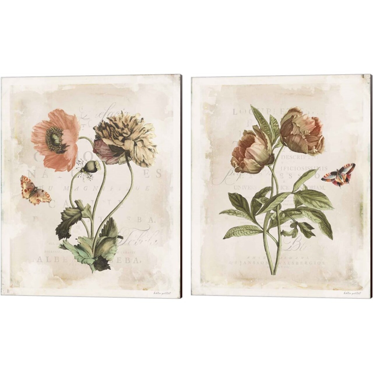 Antiquarian Blooms by Katie Pertiet 12" x 15" Canvas Wall Art (Set of 2)